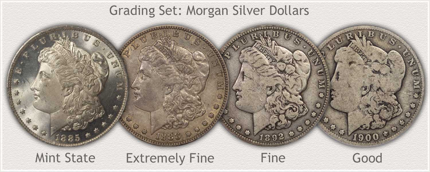 Grading Set Morgan Silver Dollars Mint State, Extremely Fine, Fine, and Good Condition