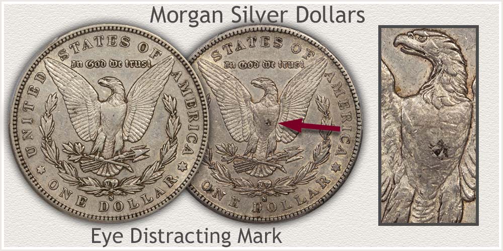 Morgan Silver Dollar Representing the Series
