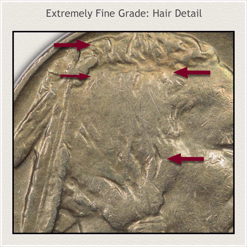 Close Up View of Hair Detail on an Extremely Fine Grade Buffalo Nickel