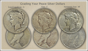 Visit...  Video | Grading Peace Silver Dollars