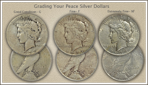 Visit...  Video | Grading Peace Silver Dollars