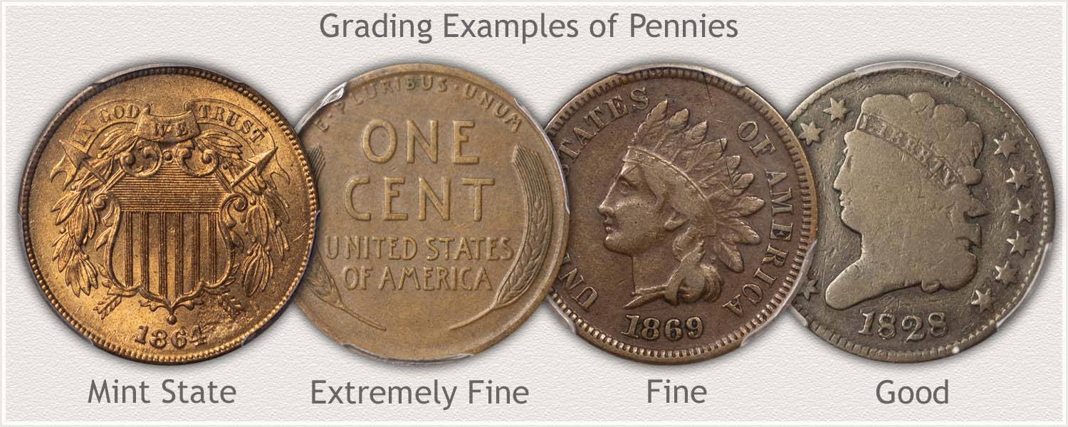 Penny Values Discover Their Worth
