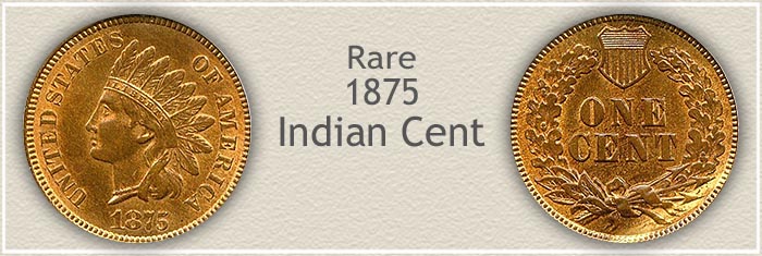 Rare 1875 Indian Penny