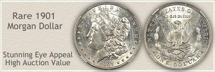 Rare 1901 Morgan Silver Dollar