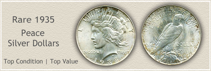 Rare 1935 Peace Silver Dollar