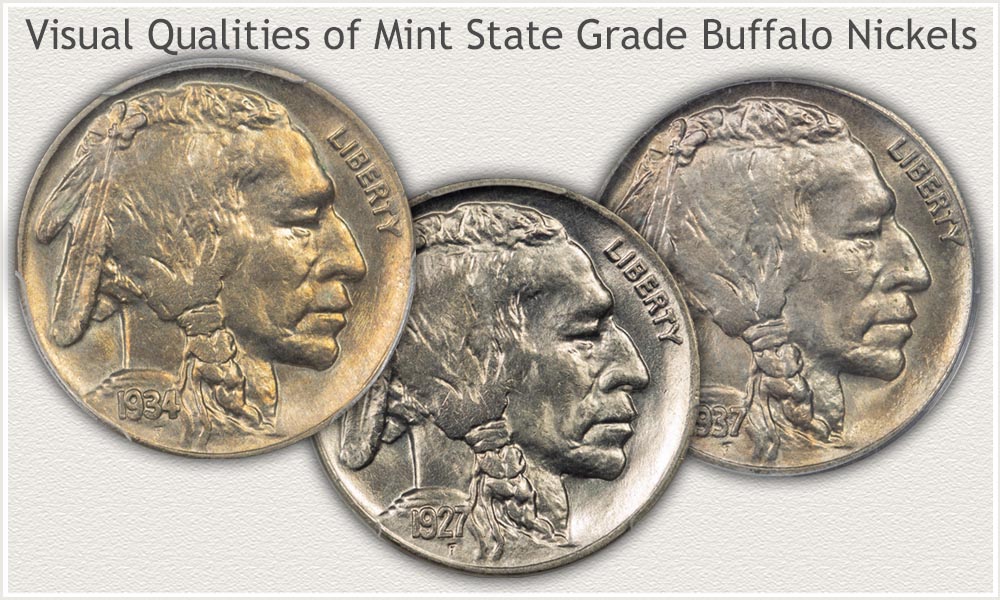 View of Buffalo Nickel Special Qualities at the Mint State Grade