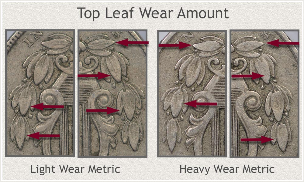 Examples of the Amount of Wear on Top Leaves of the Olive Branch