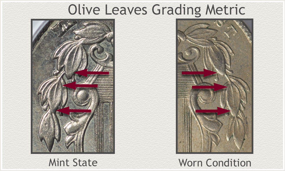 Inspecting the Quality of the Olive Branch Leaves