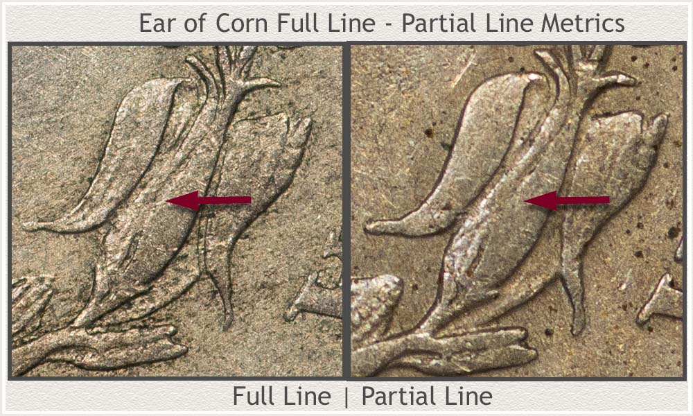 Close-Up of the Ear of Corn Visual Condition Metrics