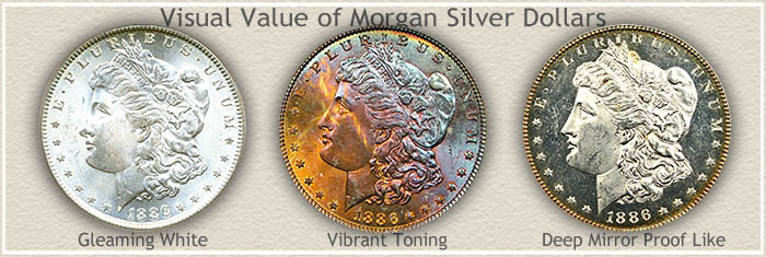 Rare 1886 Morgan Silver Dollar