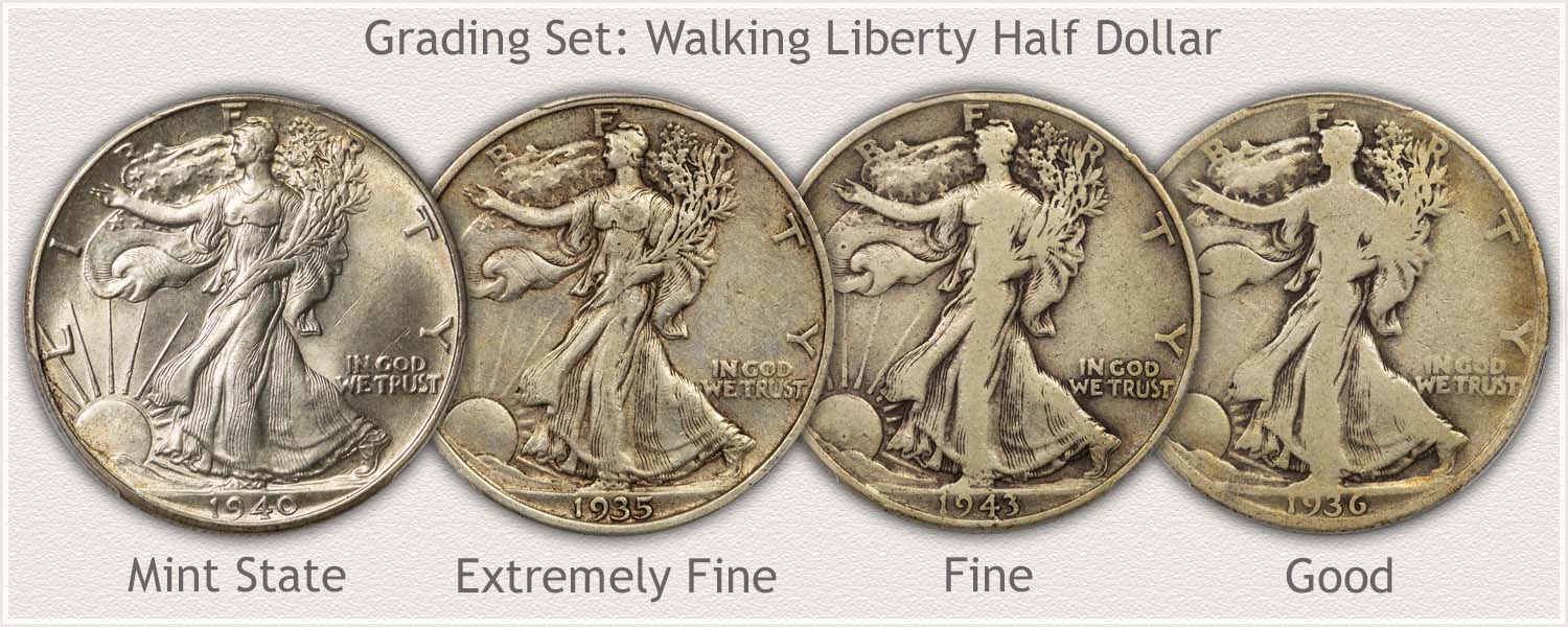 Grading Set of Walking Liberty Half Dollars in Mint State, Extremely Fine, Fine, and Good Grades