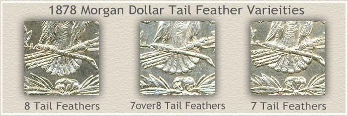 Tail Feather Varieties of 1878 Morgan Silver Dollars