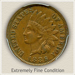 1886 Indian Head Penny Extremely Fine Condition