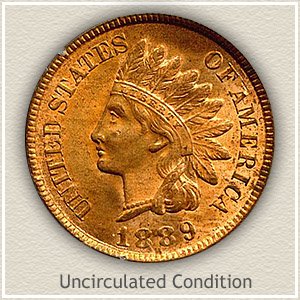 1889 Indian Head Penny Uncirculated Condition