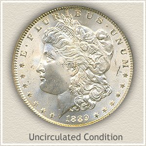 1889 Morgan Silver Dollar Uncirculated Condition