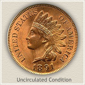 1891 Indian Head Penny Uncirculated Condition