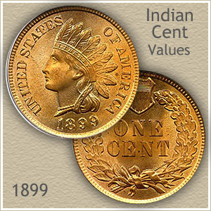 Uncirculated 1899 Indian Head Penny