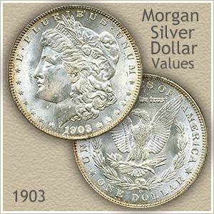 1903 Morgan Silver Dollar Value | Discover Their Worth