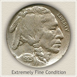 1925 Nickel Extremely Fine Condition