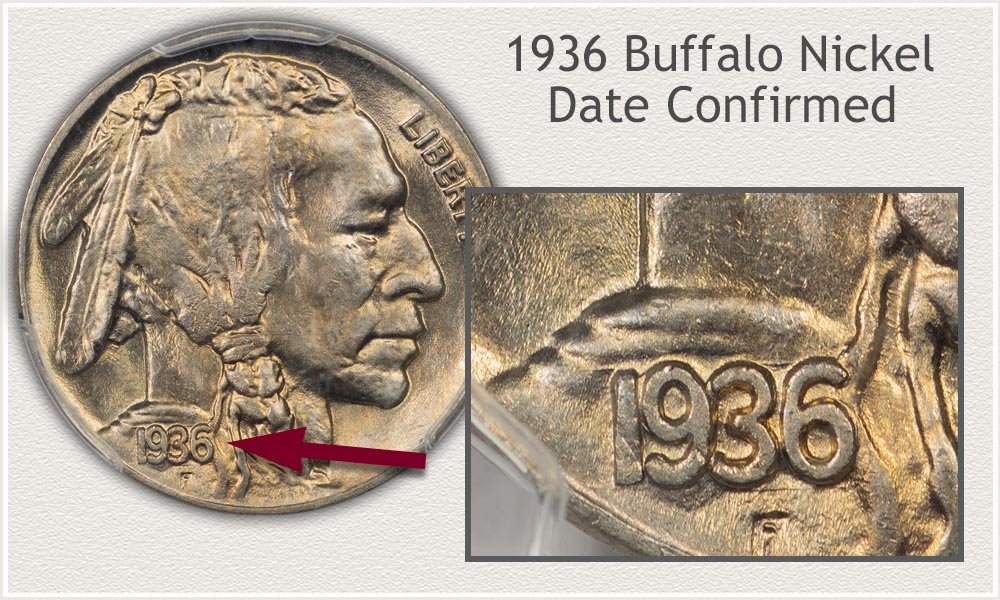 Close Up Example of a 1936 Date Buffalo Nickel