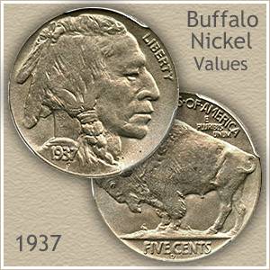 Nickel Value | Discover Buffalo Nickel
