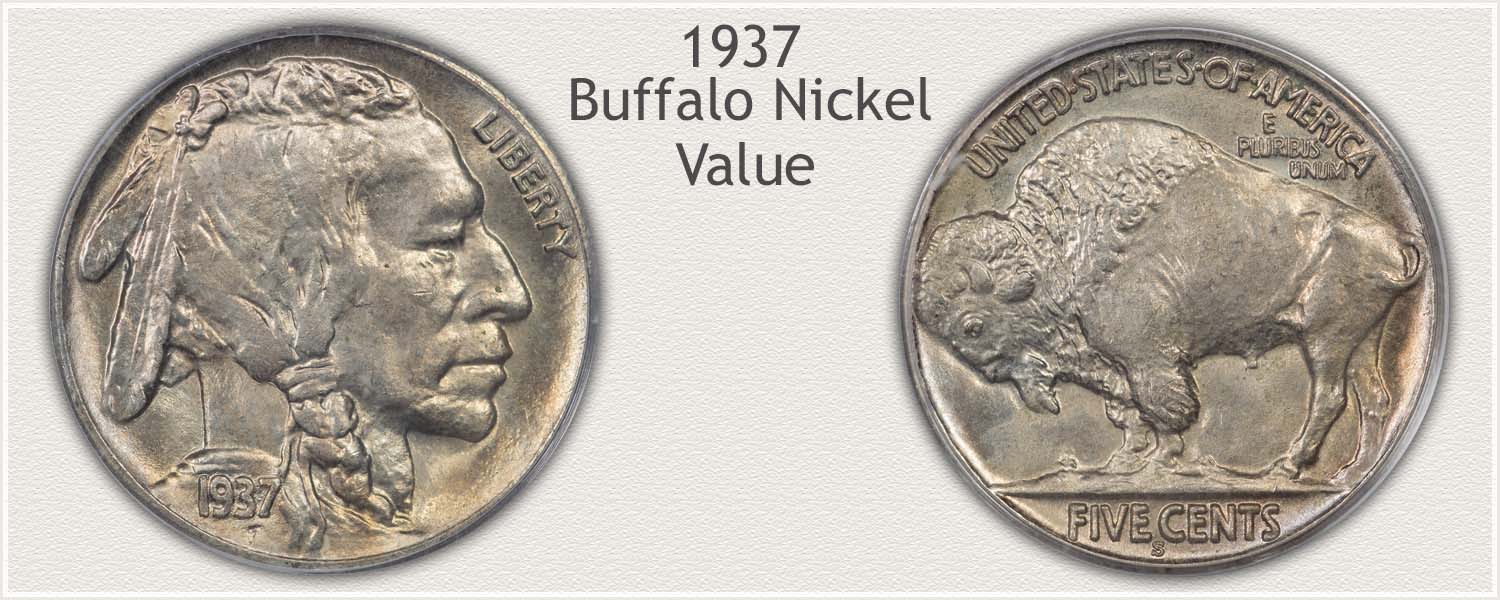 1937 Buffalo Nickel