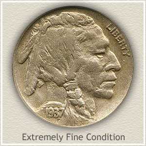 1937 Nickel Extremely Fine Condition