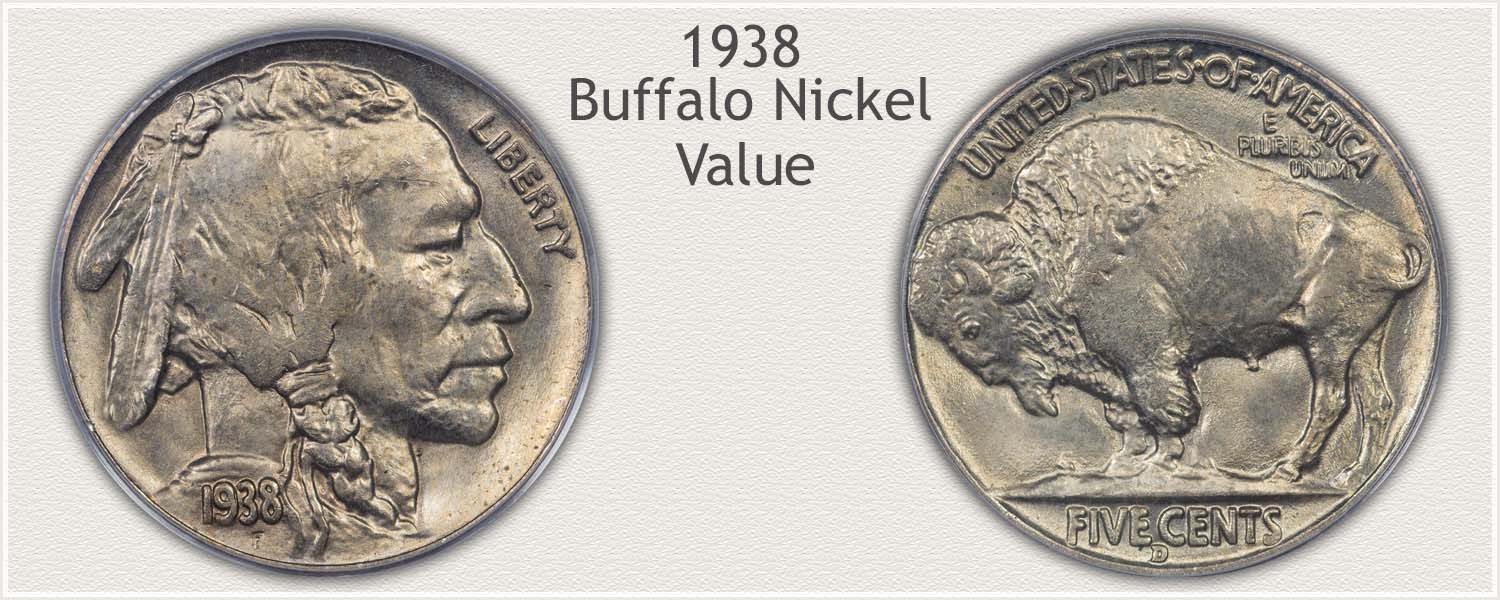 Obverse and Reverse Views Identify a 1938 Buffalo Nickel