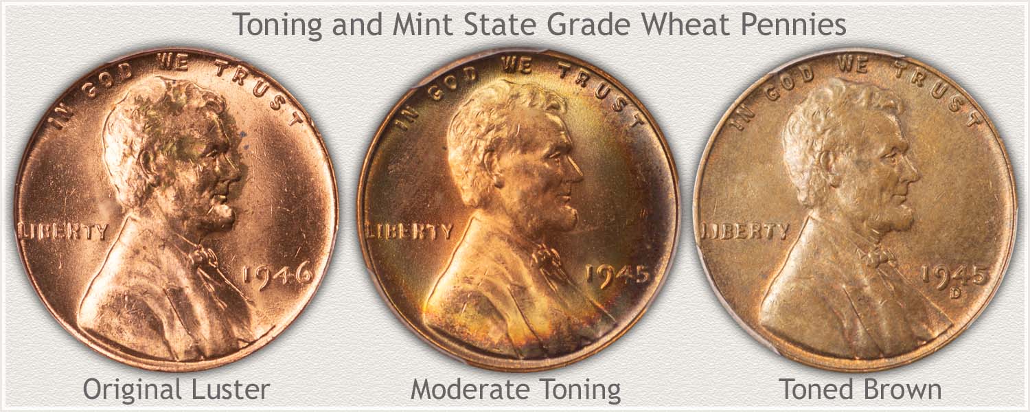 Progression of Toning Wheat Pennies