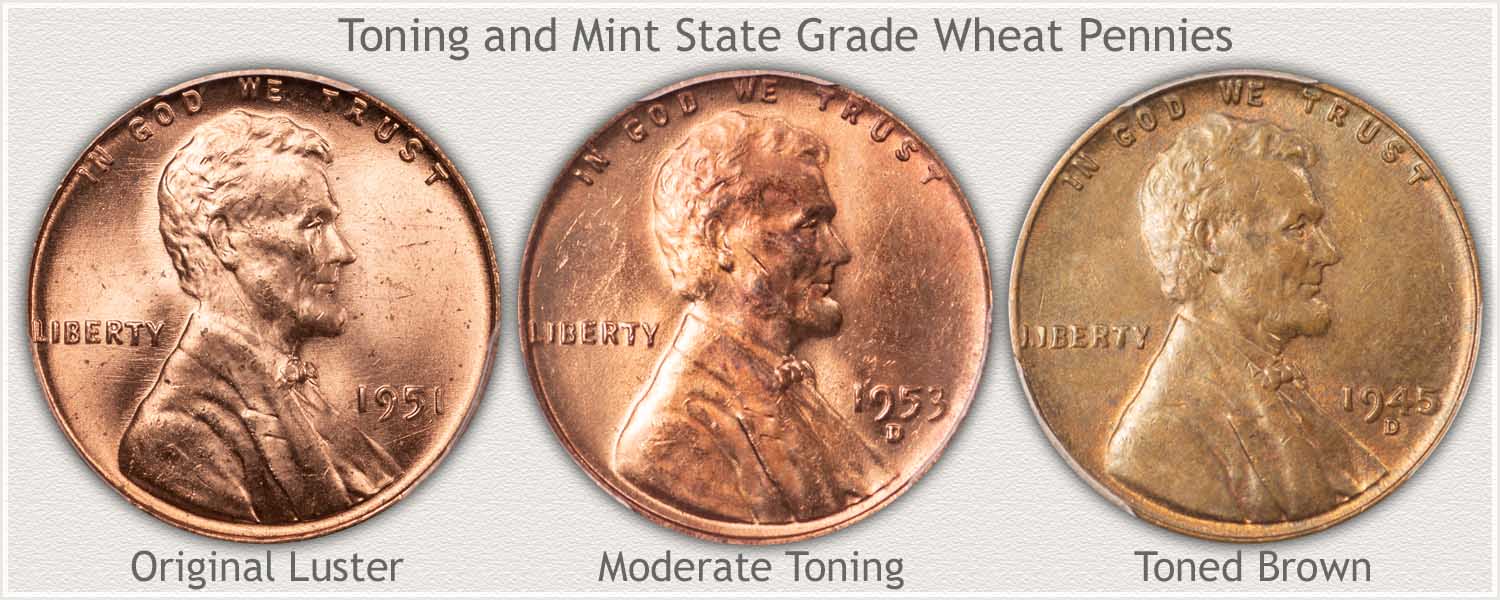 Progression of Toning Colors to Wheat Pennies