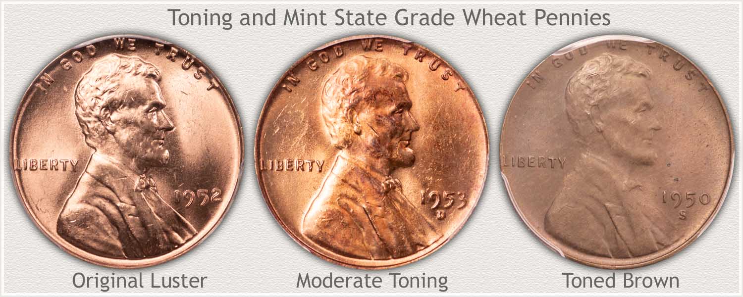 Shades of Toning on Three Wheat Pennies