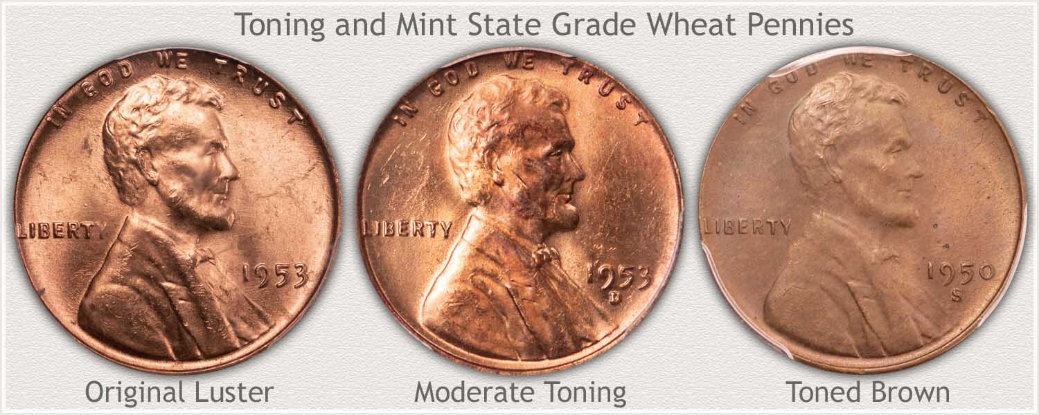 Toning Progression of Three Wheat Pennies