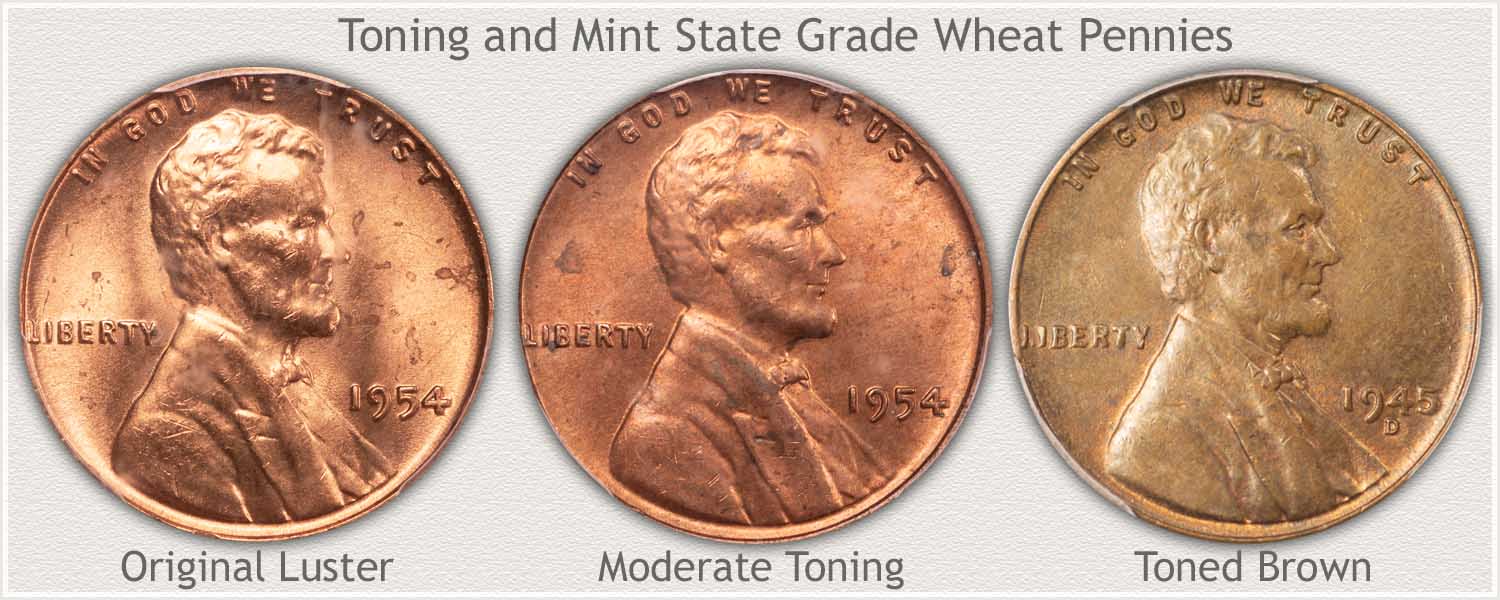 Uncirculated Wheat Pennies in Stages of Toning