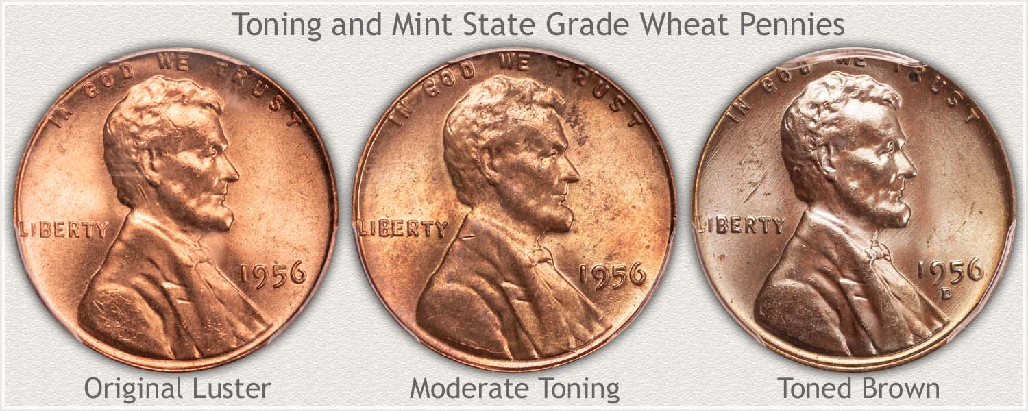 Toning Examples of 1956 Wheat Pennies