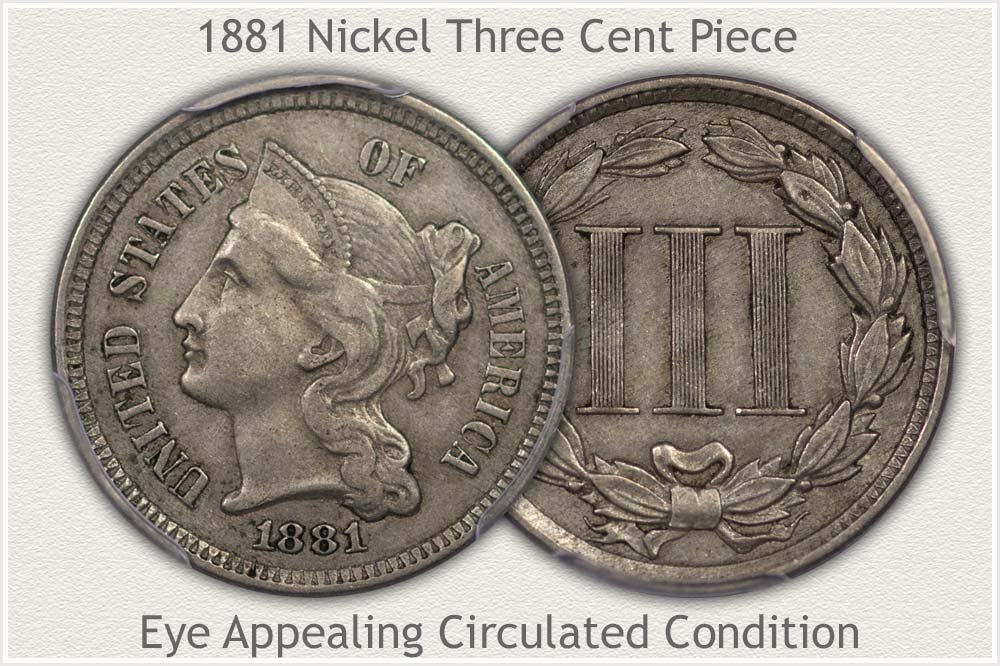 Circulated 3 Cent Nickel Variety