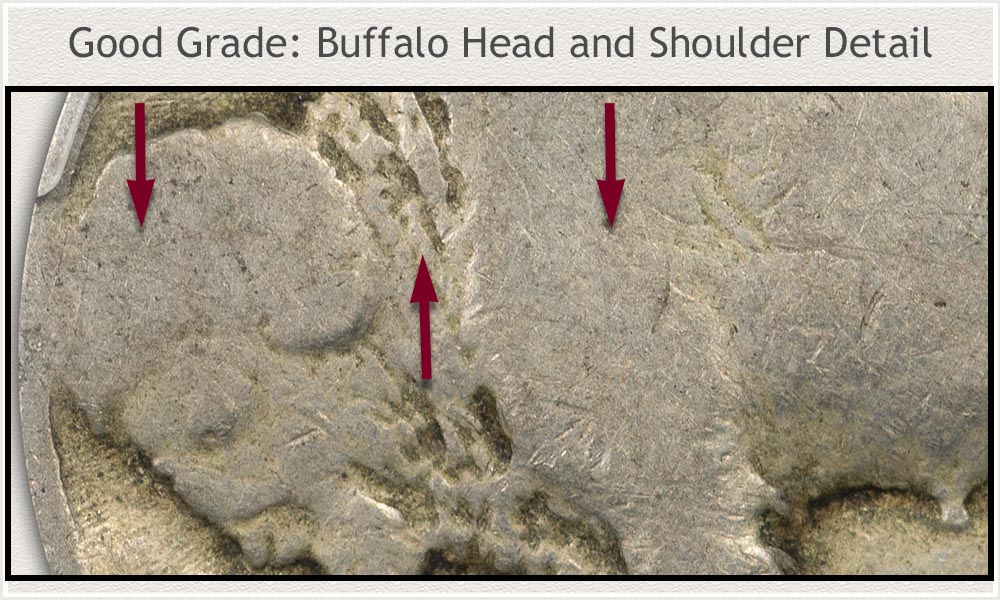 Buffalo Head and Shoulder Detail on a Good Grade Buffalo Nickel