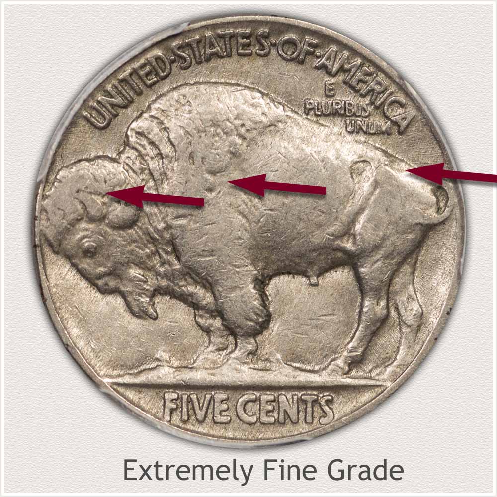 Reverse View: Extremely Fine Grade Buffalo Nickel