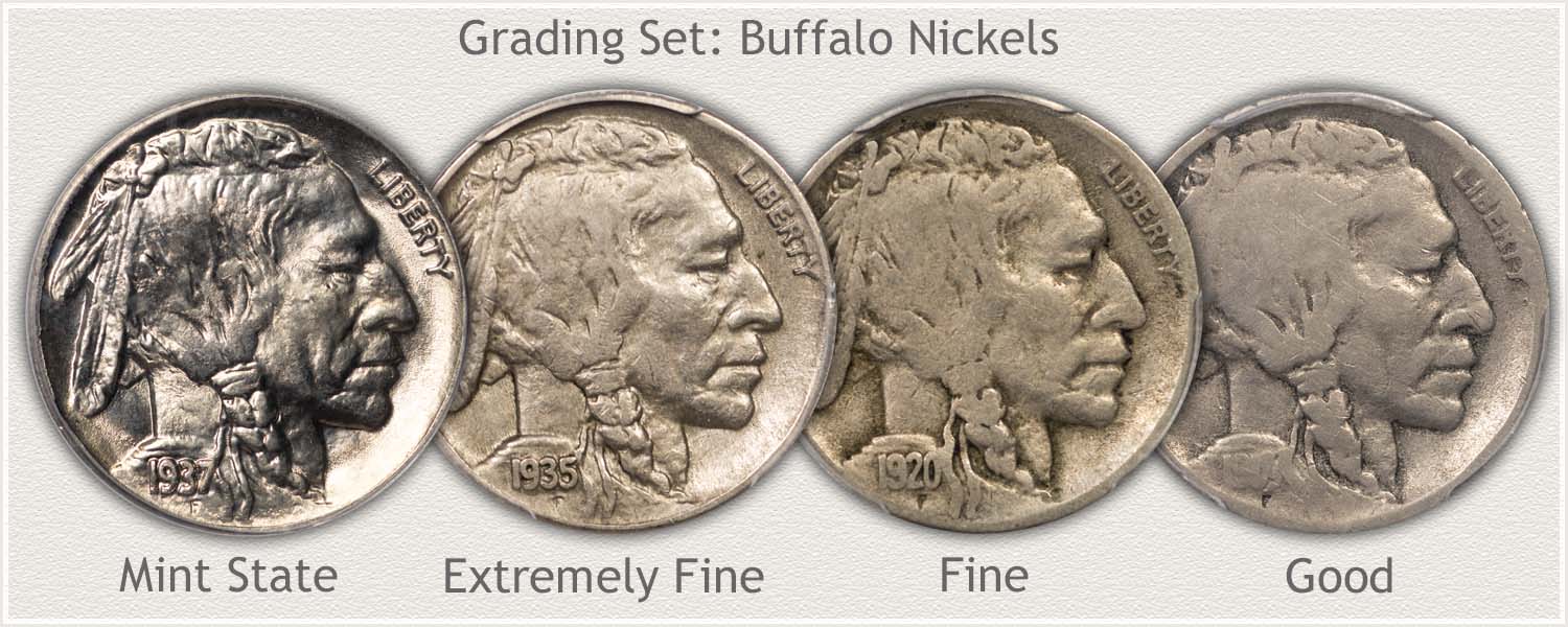 Grading Set of Buffalo Nickels: Mint State, Extremely Fine, Fine, and Good Grades