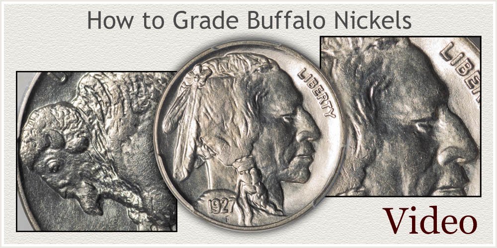 Visit...  How to Grade Buffalo Nickels Video