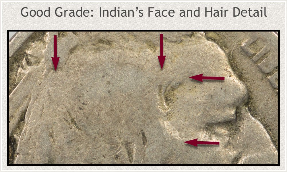Hair and Face Detail of the Indian's Portrait on a Good Grade Buffalo Nickel