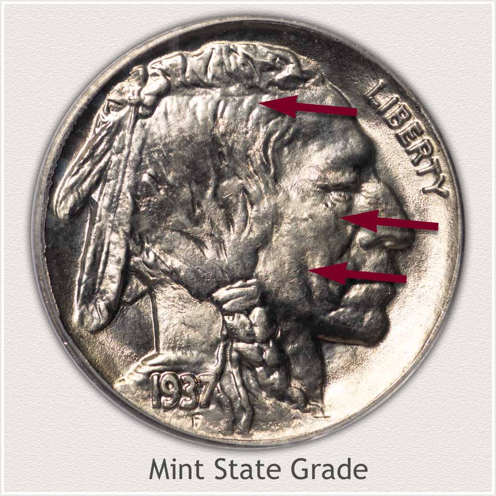 Obverse View: Mint State Grade Buffalo Nickel