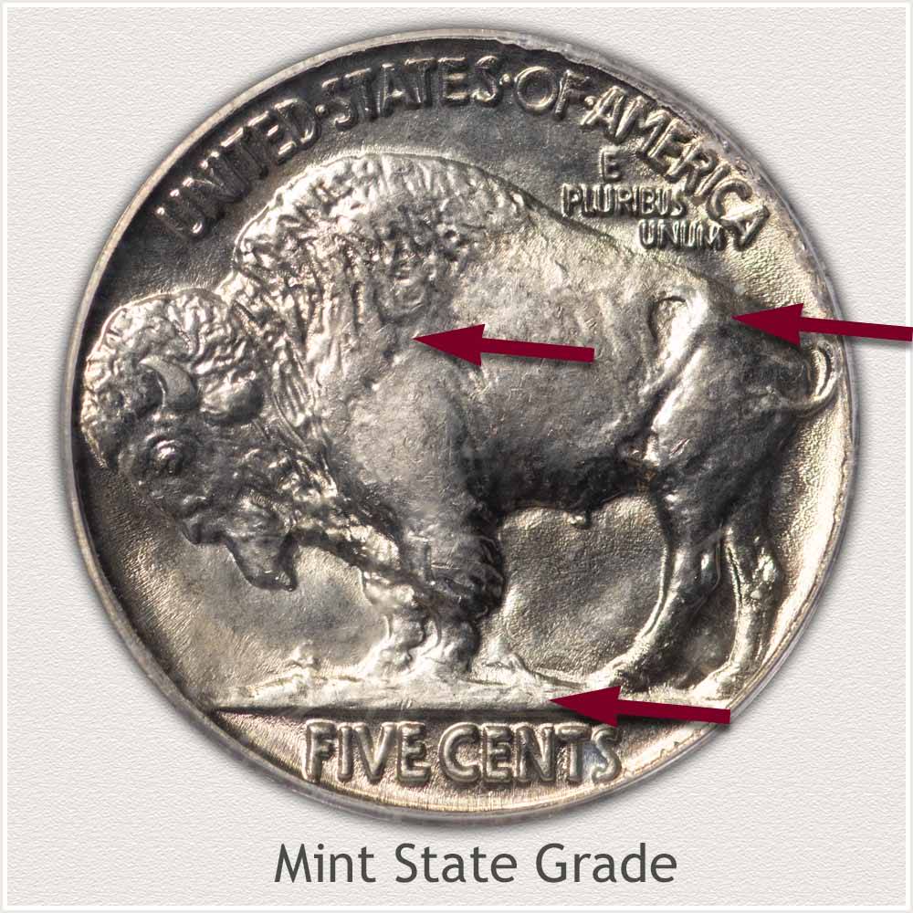 Buffalo Nickel | Discover Their