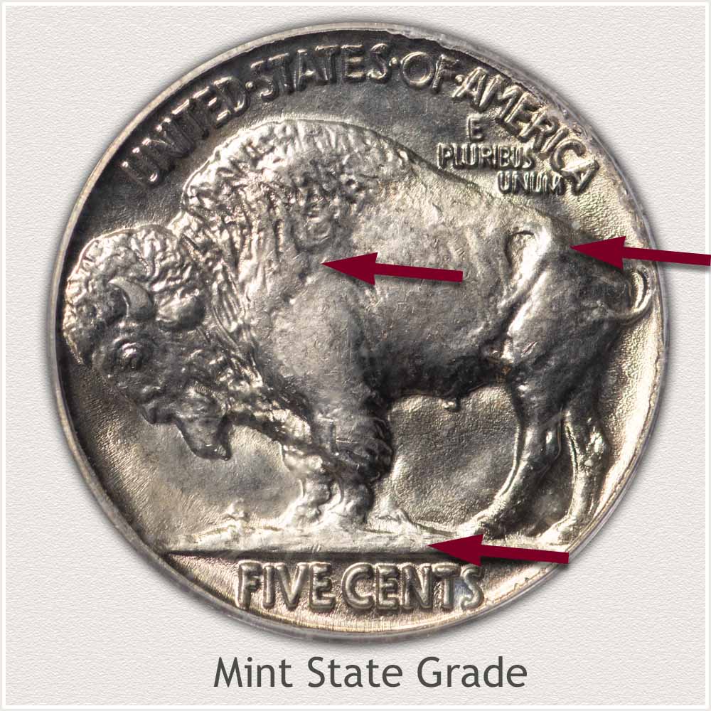 Reverse View: Mint State Grade Buffalo Nickel