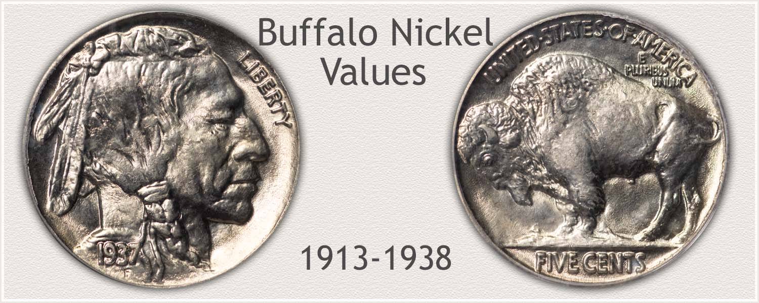 Grading Buffalo Nickels  How to Video-Images-Descriptions