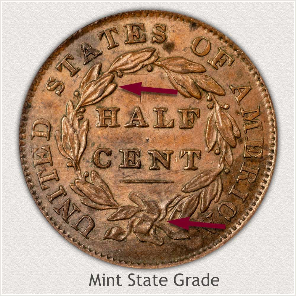 Reverse View: Mint State Grade Classic Head Half Cent