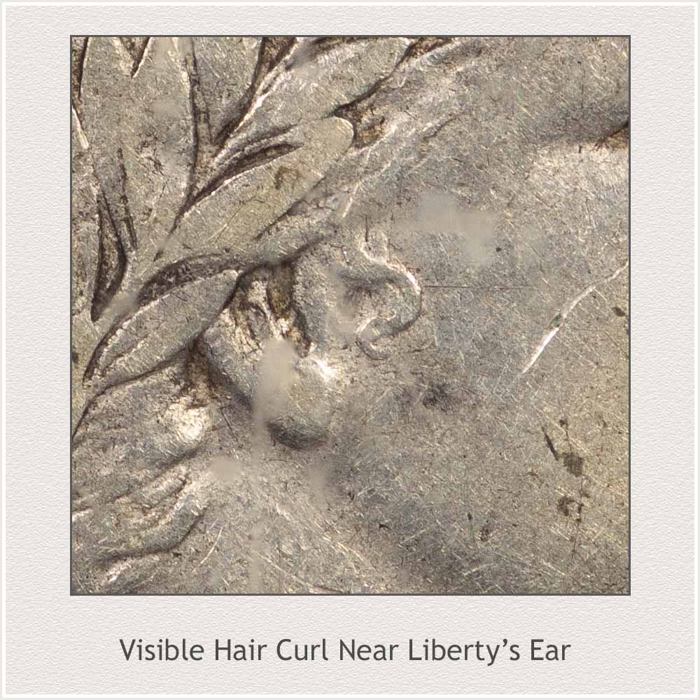 Close Up View of Hair Detail on Barber Half Dollar