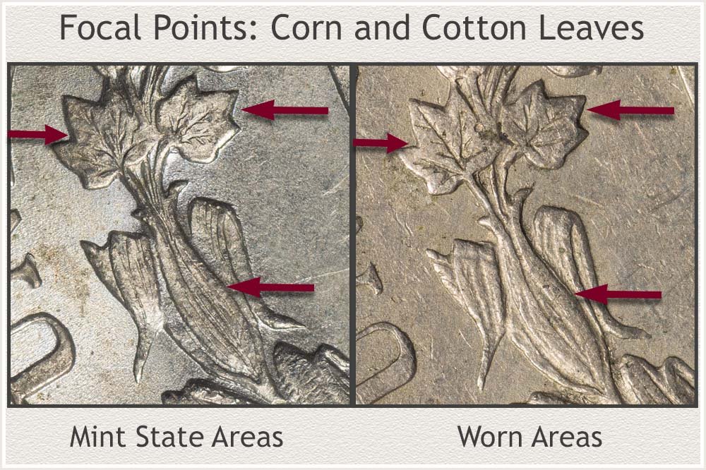 Grading Focal Areas of Corn and Cotton Leaves