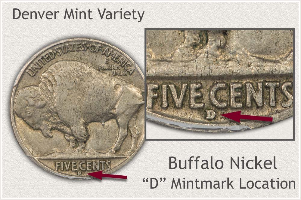 Close View of the D Mintmark Buffalo Nickel