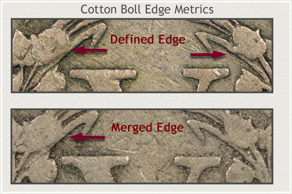 Cotton Boll Edges Examined