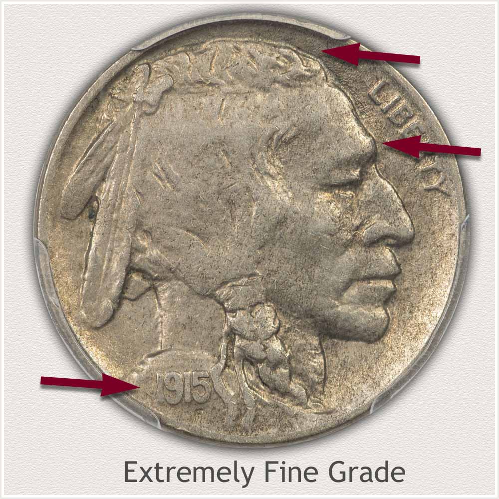 Grading Example of an Extremely Fine Grade 1915 Buffalo Nickel